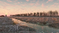 b-winter