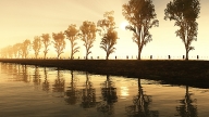 d-summer